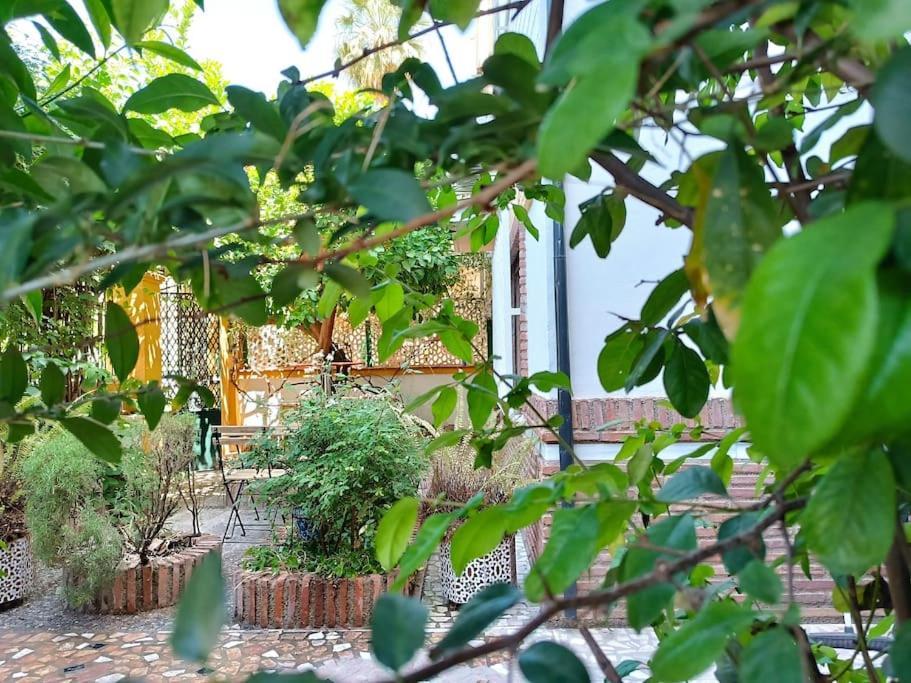 Casa Limonero Con Parking Gratis Junto A Centro Historico Villa Granada Dış mekan fotoğraf