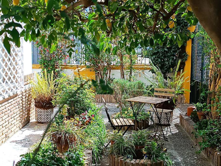 Casa Limonero Con Parking Gratis Junto A Centro Historico Villa Granada Dış mekan fotoğraf