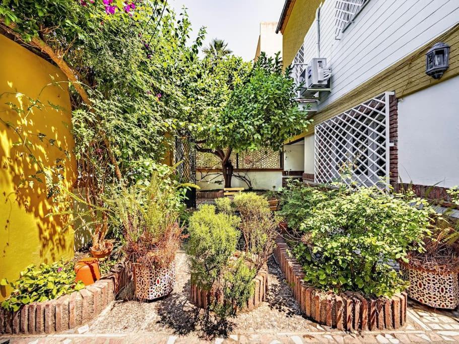 Casa Limonero Con Parking Gratis Junto A Centro Historico Villa Granada Dış mekan fotoğraf