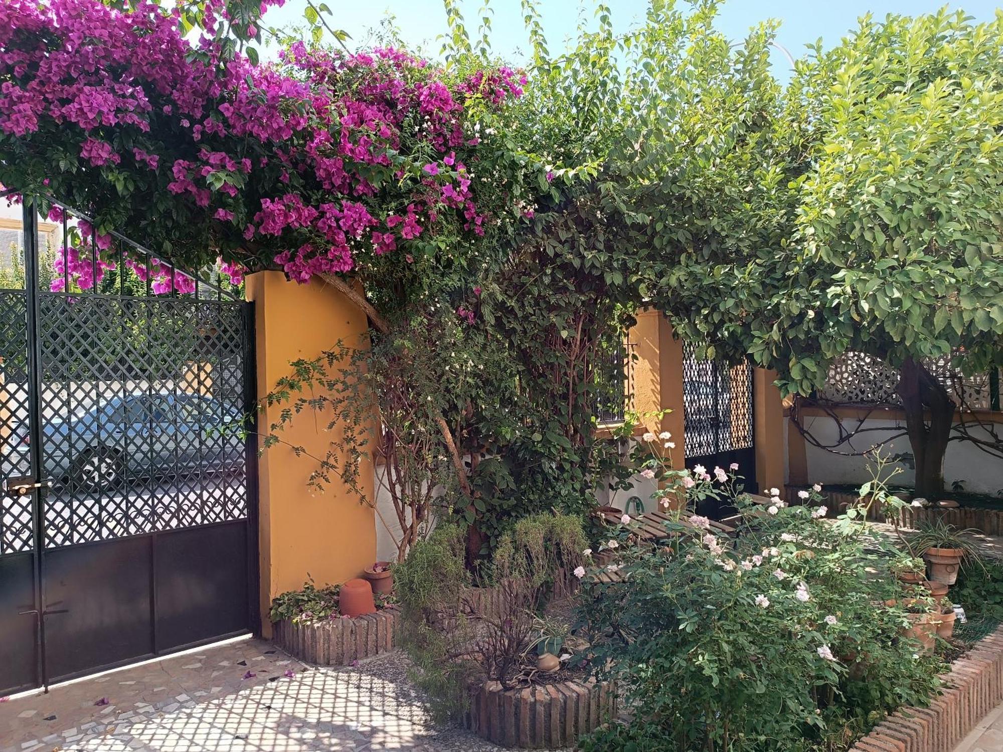 Casa Limonero Con Parking Gratis Junto A Centro Historico Villa Granada Dış mekan fotoğraf